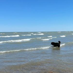 Meet your Posher, Meghan